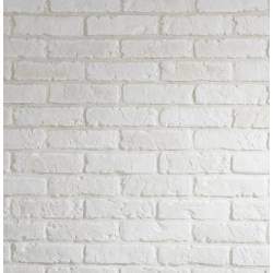 mur briques de parement blanches