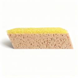 Eponge biseauté